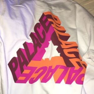 palace p3d hoodie (large)